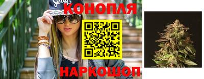 бошки Гатчина