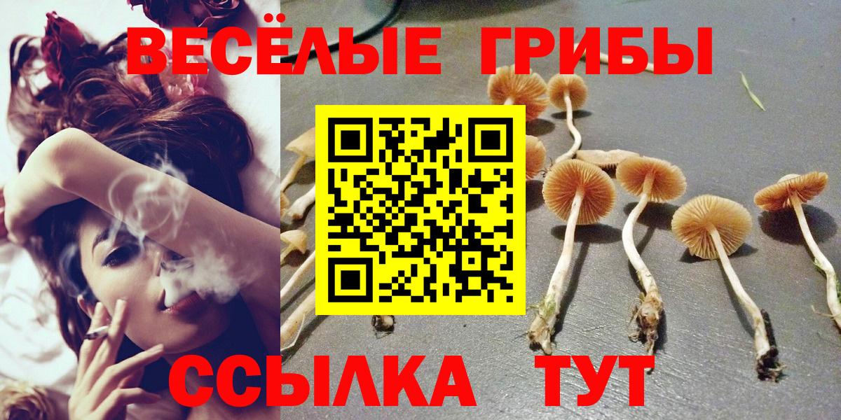 МЕФ   Кокаин  Метадон  Меф МЯУ МЯУ кристаллы  Дивногорск  ГАШИШ  МАРИХУАНА  A PVP СК кристаллы  LSD-25 